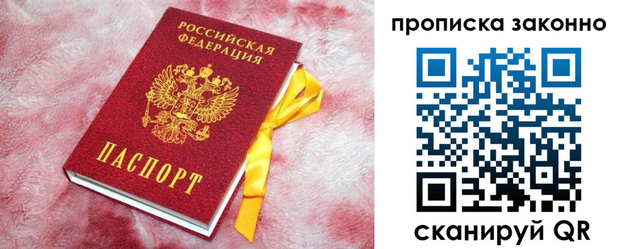 временная регистрация поиск в Мончегорске